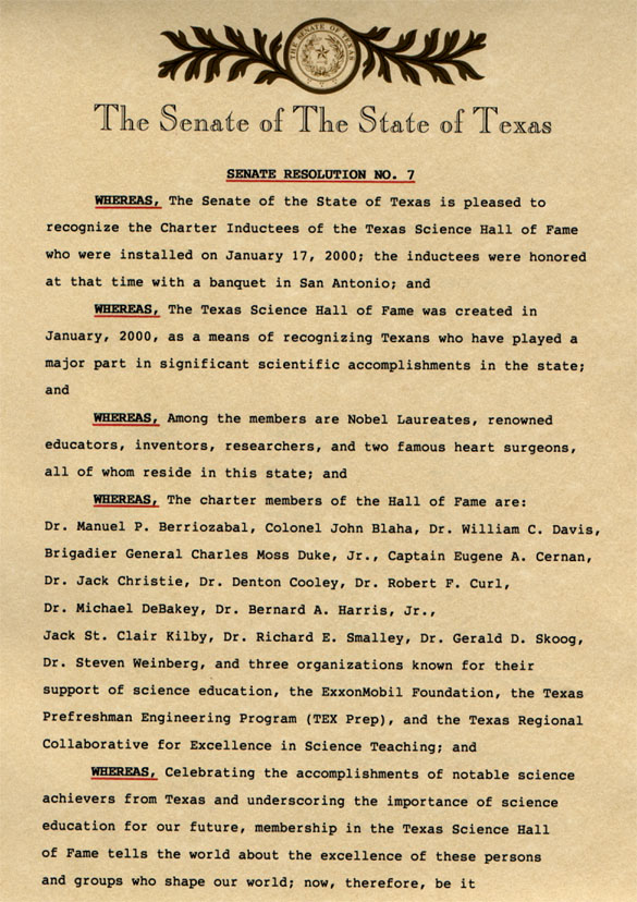 sen_resolution1.jpg (173730 bytes)